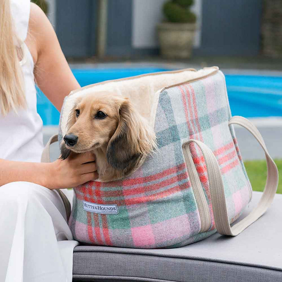 Dog and Puppy Carrier in Macaroon Check Tweed by Mutts & Hounds