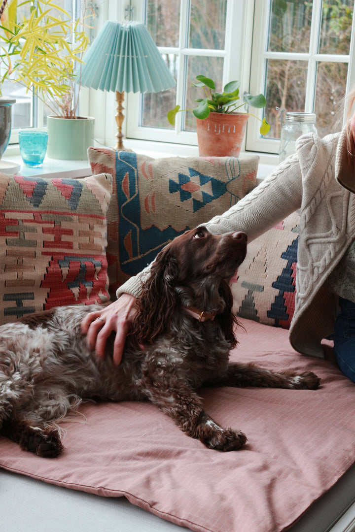 Duvet dog blanket chequered Rose