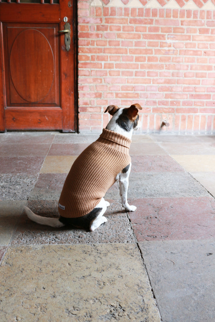 Female Wool dog sweater Beige