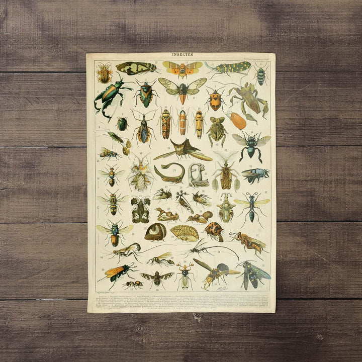 Adolphe Millot - Insectes- Tea Towel