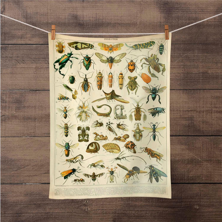 Adolphe Millot - Insectes- Tea Towel