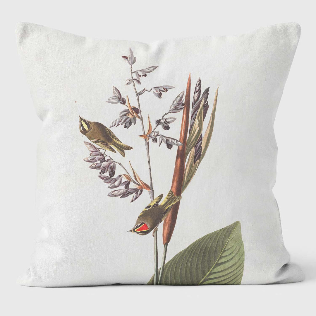 American Golden Crested Wren - Birds Of America Cushions - Handmade Cushions UK - WeLoveCushions