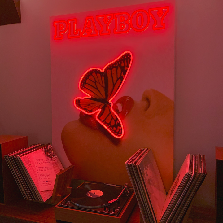 Playboy X Locomocean   Butterfly Cover (LED Neon) product image shown in a home or gift setting