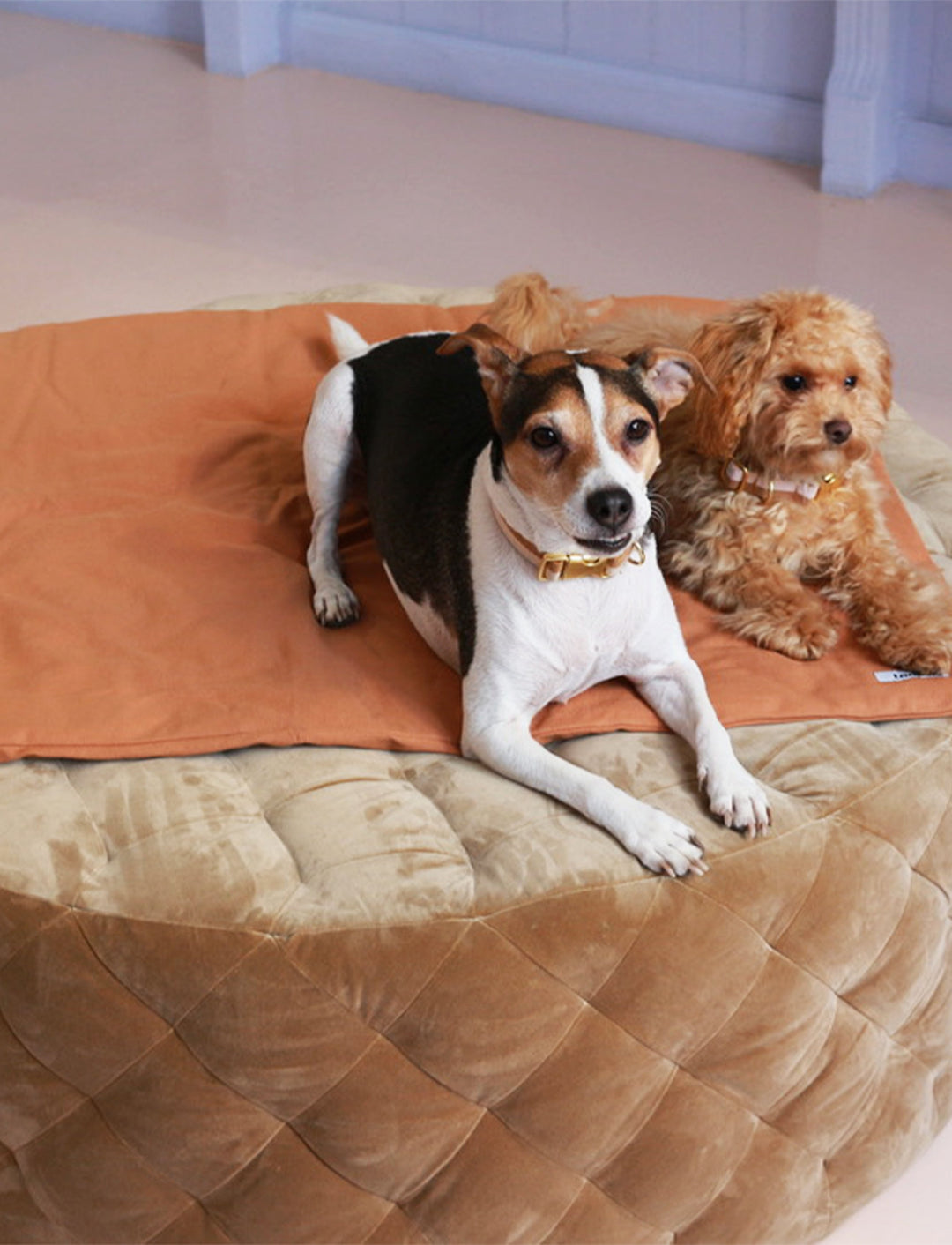 Duvet dog blanket Light brown