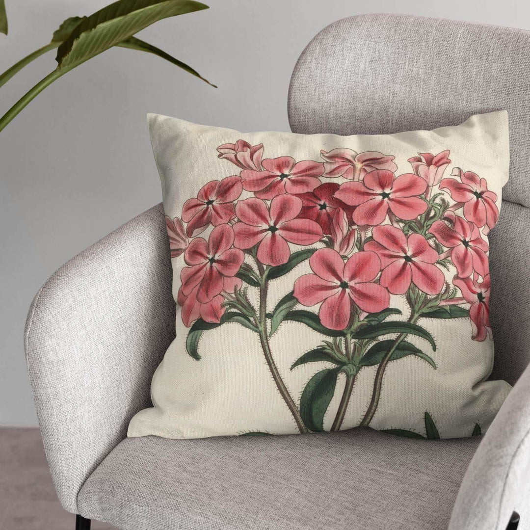 Frasers Hairy Phlox - Botanical Cushion - Handmade Cushions UK - WeLoveCushions