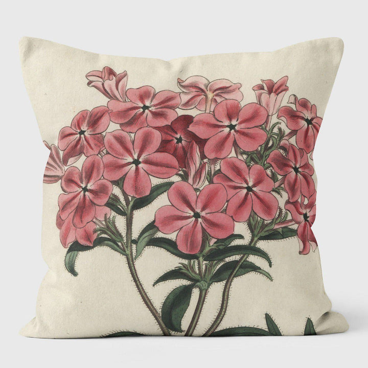 Frasers Hairy Phlox - Botanical Cushion - Handmade Cushions UK - WeLoveCushions