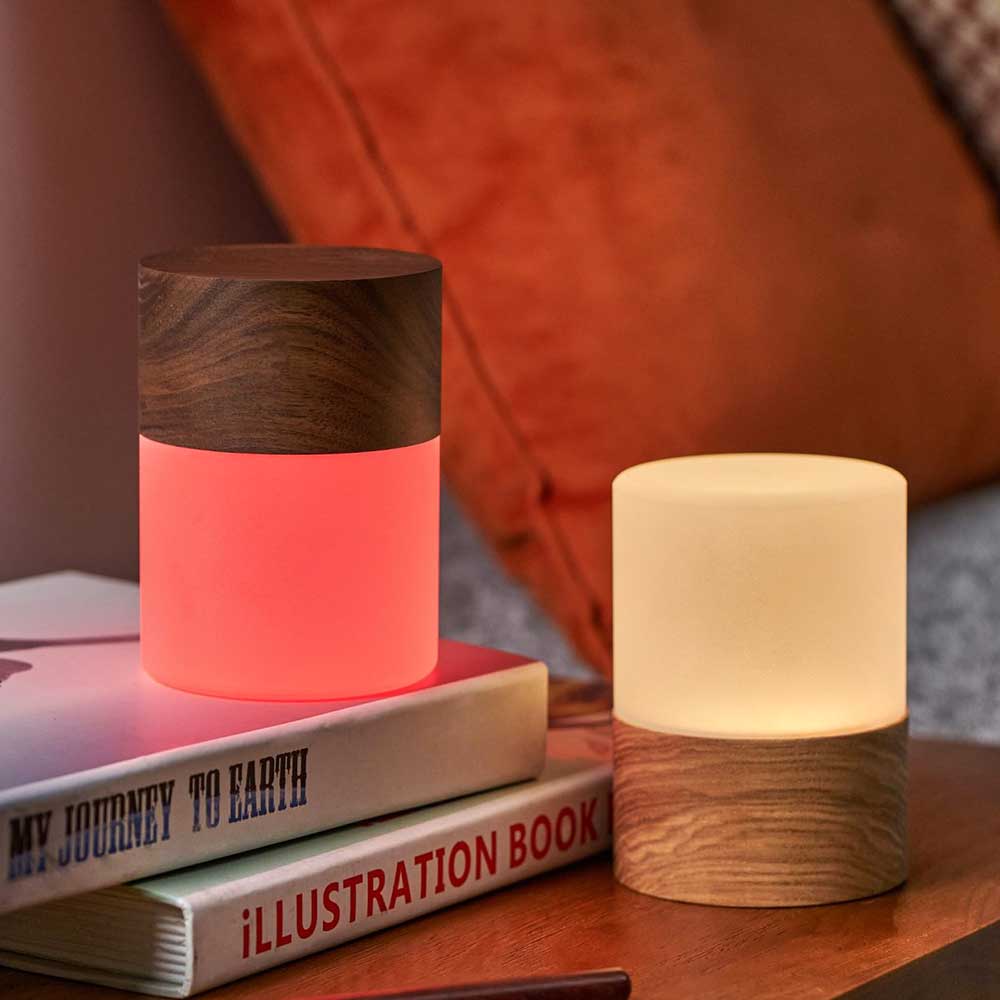 Lemelia Pink and Clear Table Lamp Light by Gingko Design