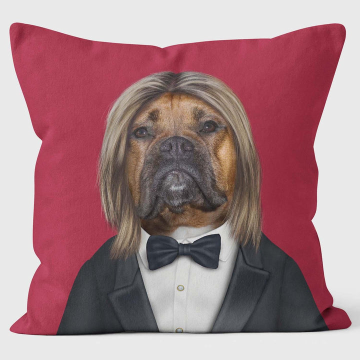 Hollywood Man - Pets Rock Cushion - Handmade Cushions UK - WeLoveCushions