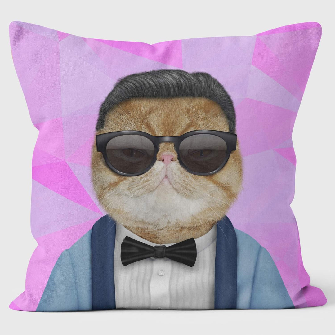 Korea Geometric - Pets Rock Cushion - Handmade Cushions UK - WeLoveCushions