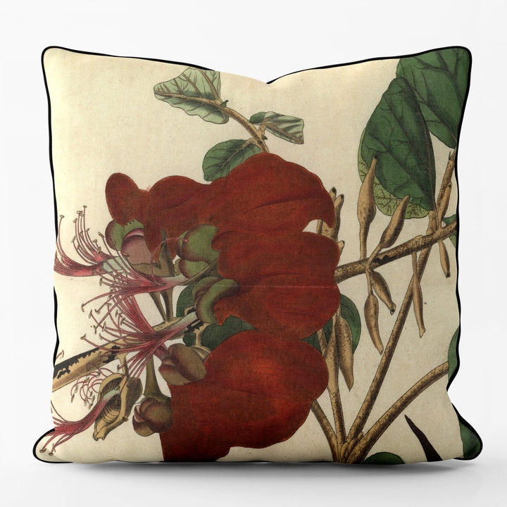 Velvety Erythrina - Botanical Outdoor Cushion