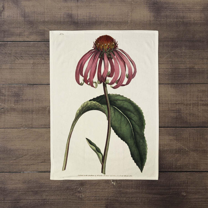 Echineacea Purpurea - Botanical Tea Towel