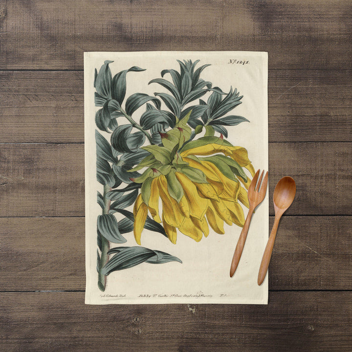 Mountain Dahlia - Botanical Tea Towel