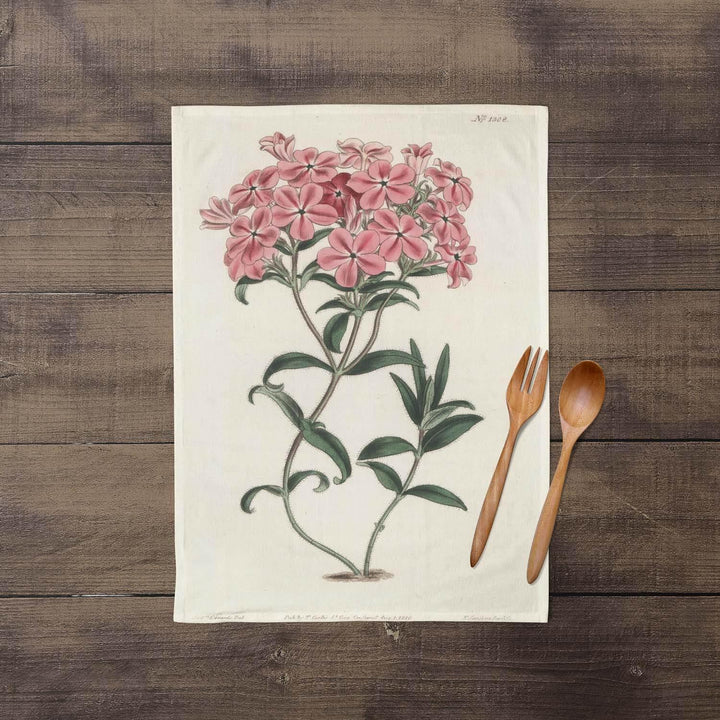 Fraser's Hairy Phlox - Botanical Tea Towel