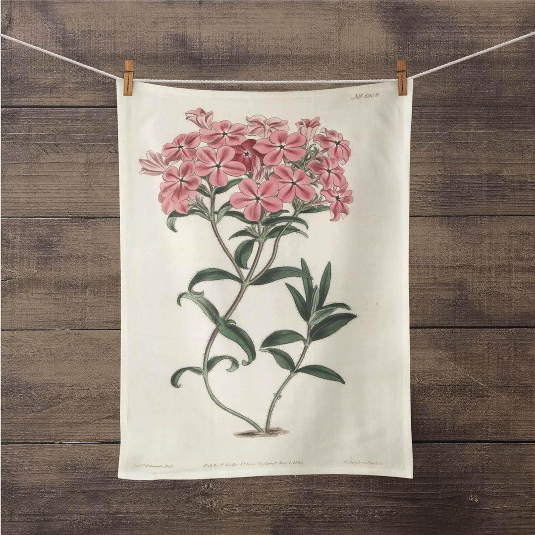 Fraser's Hairy Phlox - Botanical Tea Towel