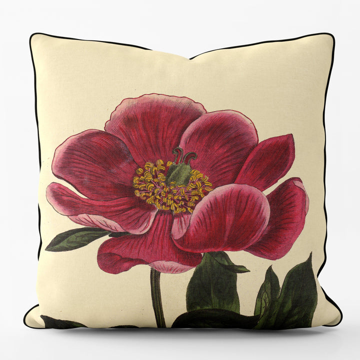 Peony - Botanical Outdoor Cushion