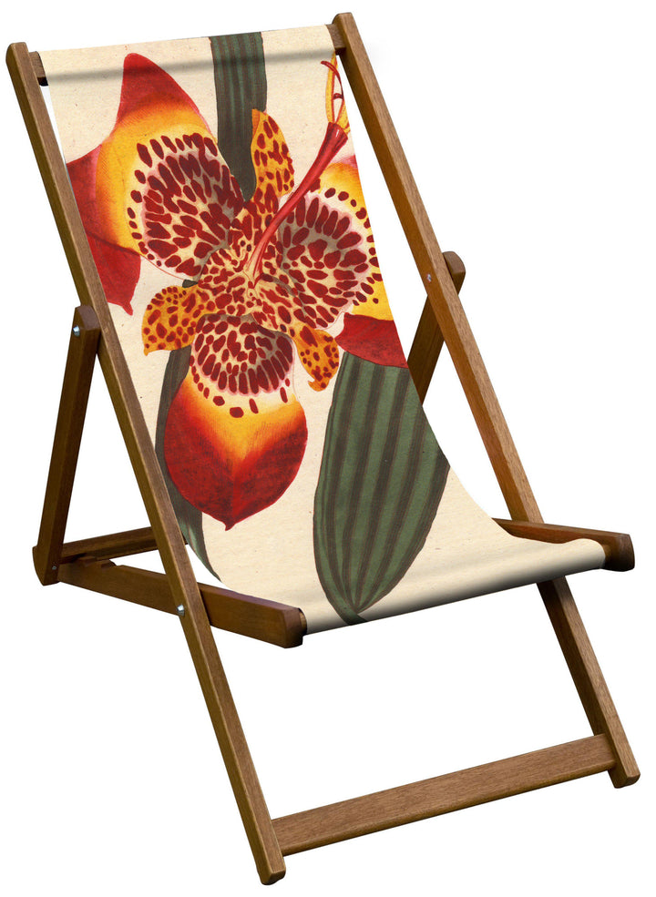 Mexican Ferraria Iris - Botanical Designs Deckchair