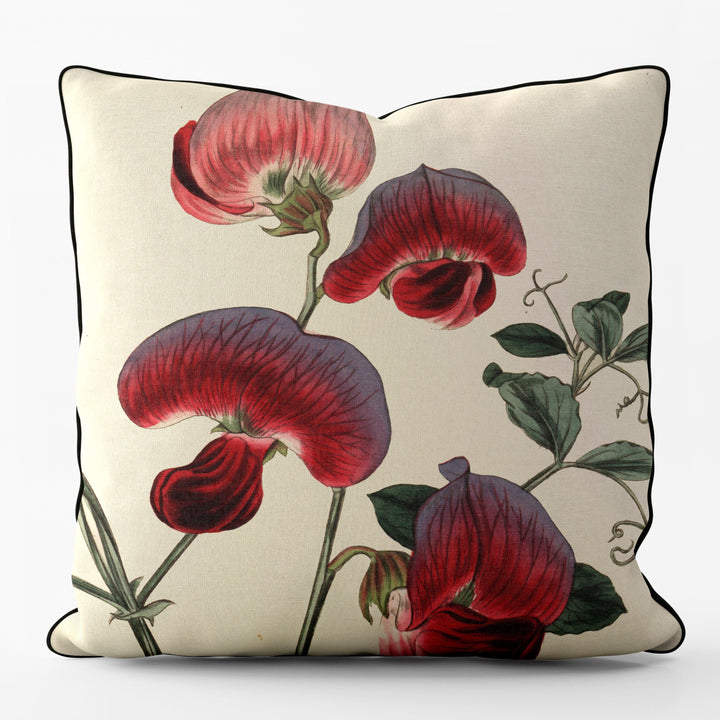 Perennial Sweetpea - Botanical Outdoor Cushion