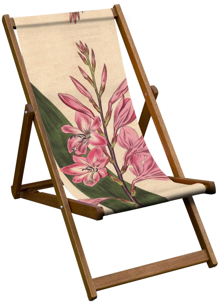 Pyramidal Watsonia (Dwarf Gladiolus) - Botanical Designs Deckchair