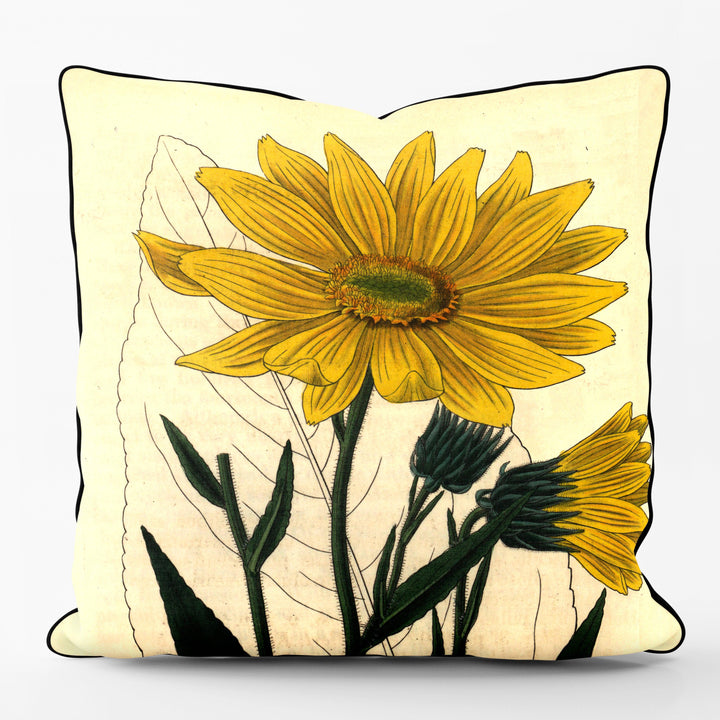 Helianthus - Botanical Outdoor Cushion