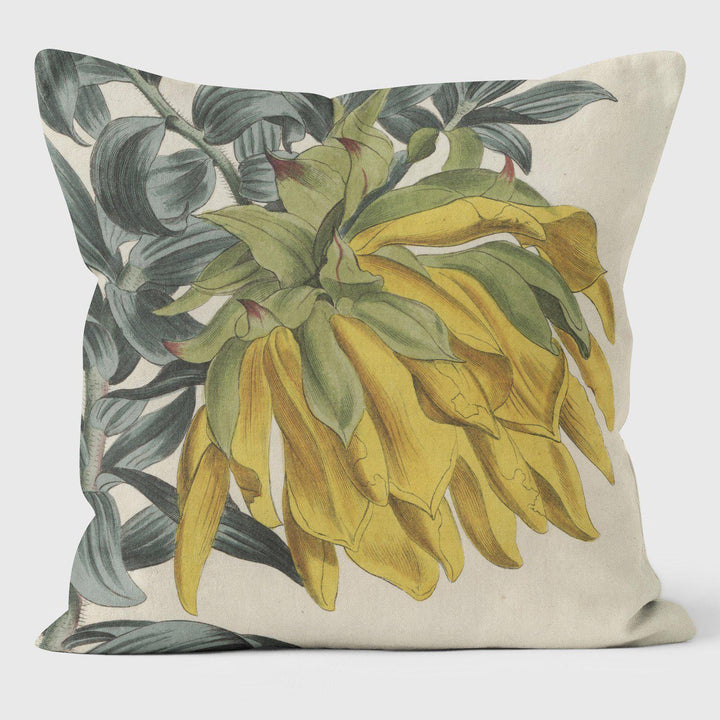 Mountain Dahlia - Botanical Cushion - Handmade Cushions UK - WeLoveCushions