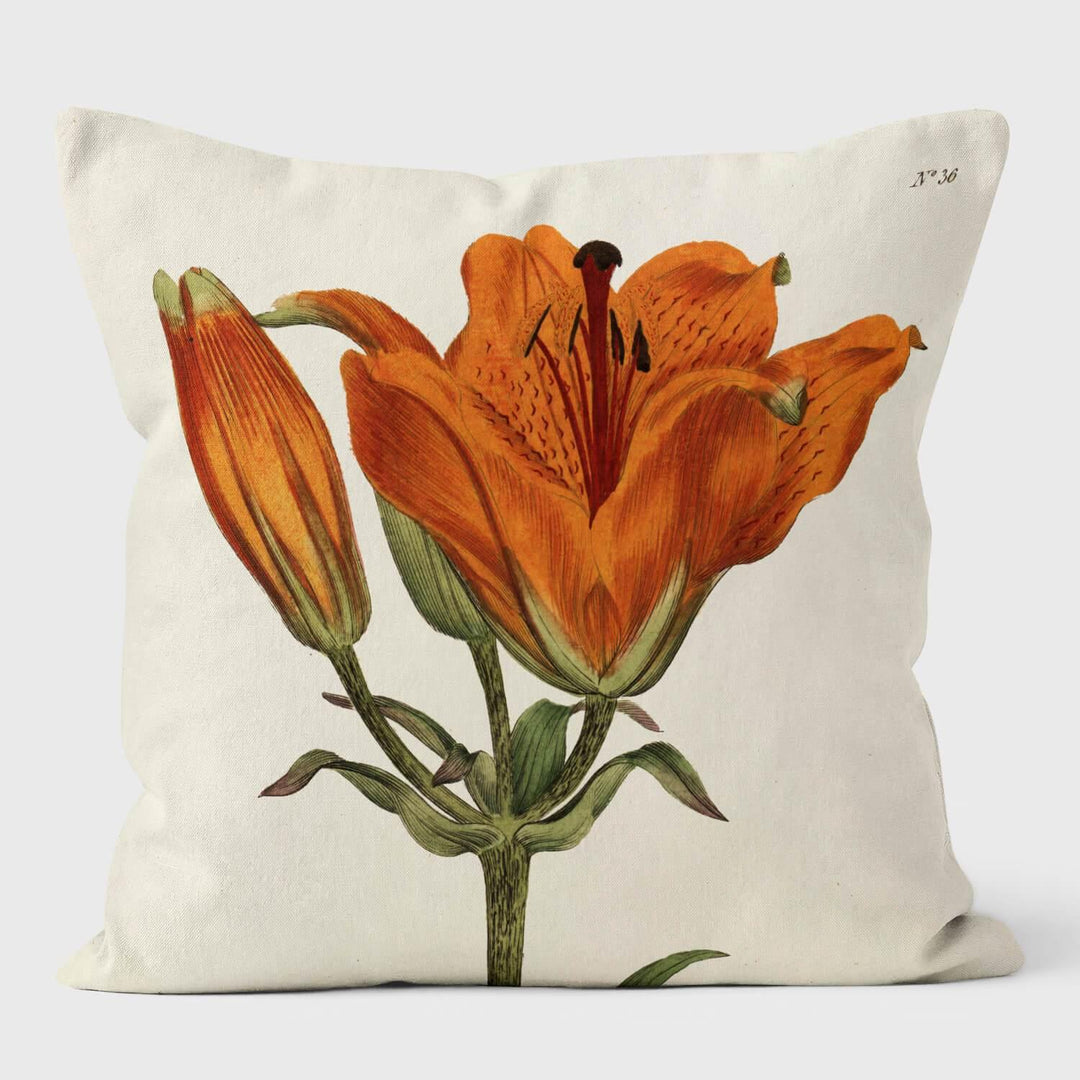 Orange Lily - Botanical Cushion - Handmade Cushions UK - WeLoveCushions