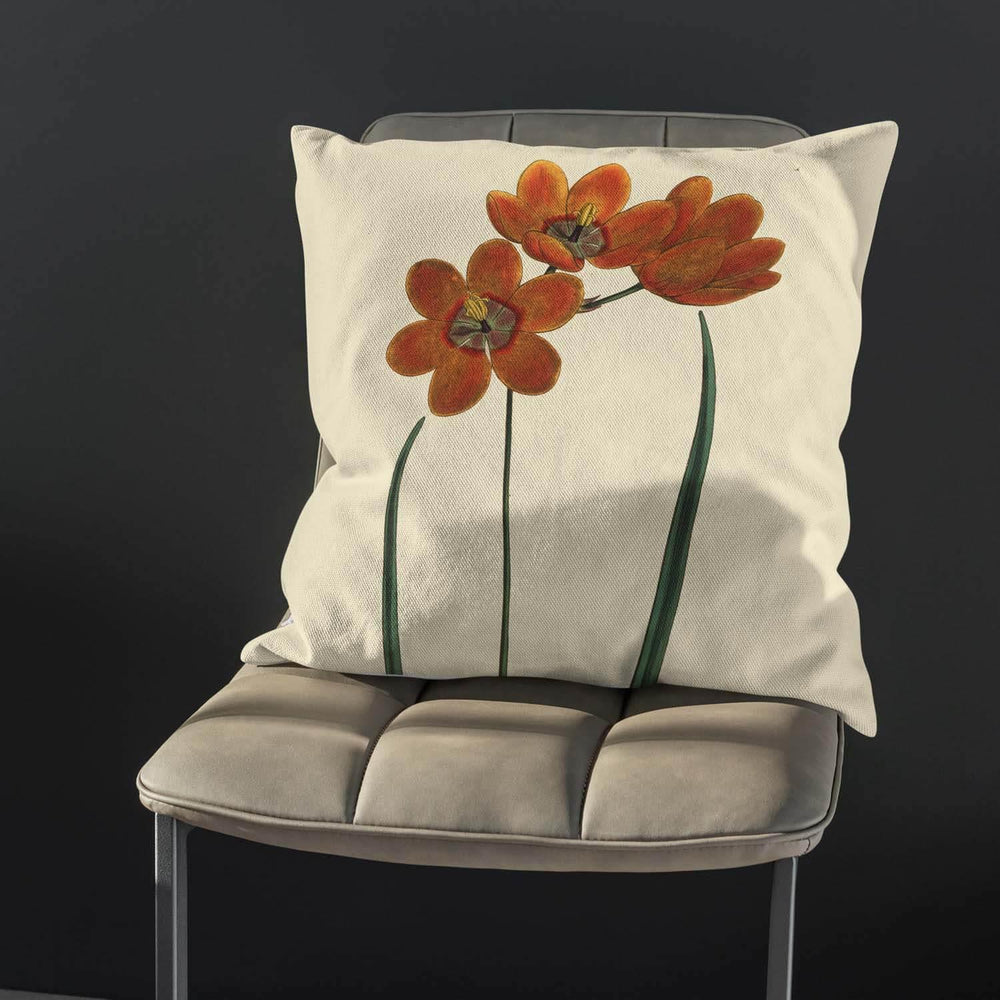 Orange Monadelpha - Botanical Outdoor Cushion - Handmade Cushions UK - WeLoveCushions