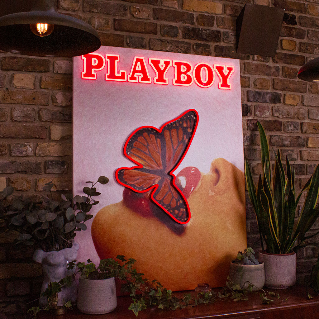 Playboy X Locomocean   Butterfly Cover (LED Neon) product image shown in a home or gift setting