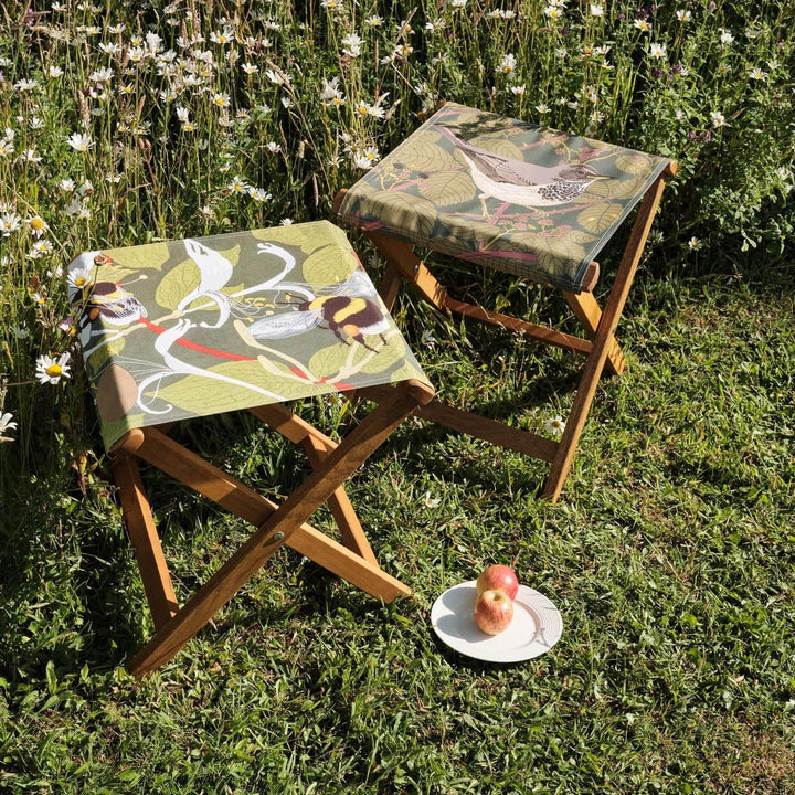 Black Throated Thrush - Robert Gillmor - Glamping Camping  Stool