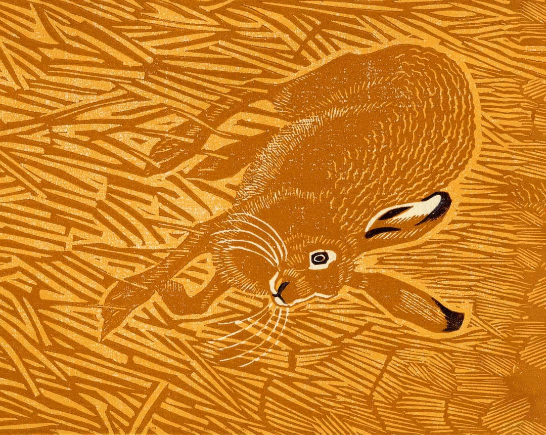 Stubble Hare - Robert Gillmor - Glamping Camping Stool