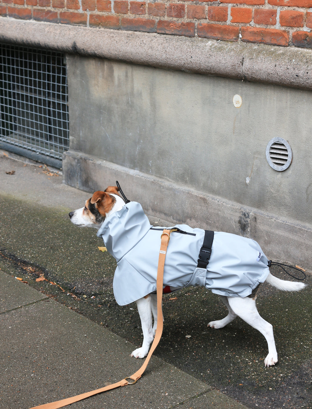 Raincoat Light grey