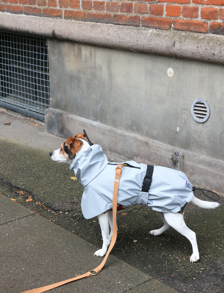 Raincoat Light grey