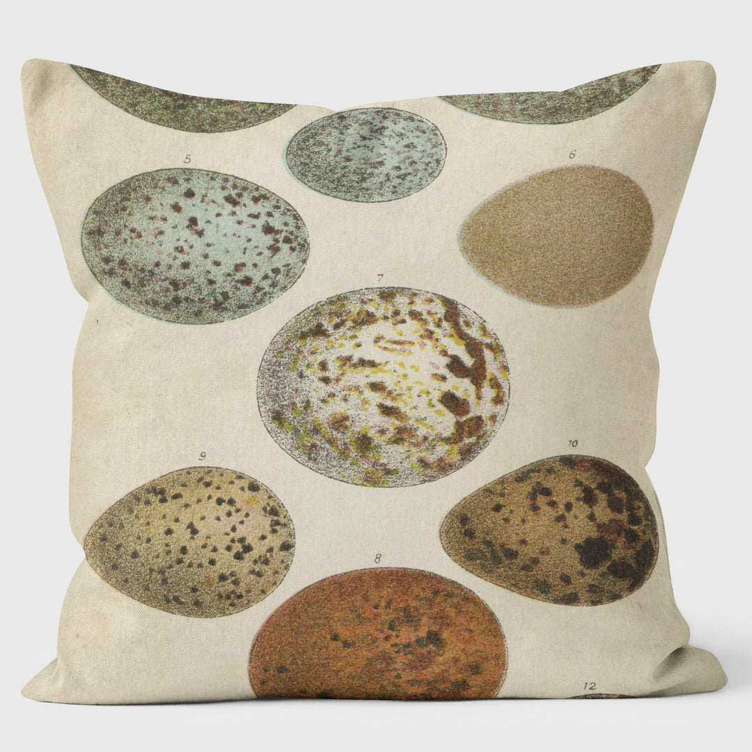 Rows of Speckled Eggs Horizontal - Special Occasions Cushion - Handmade Cushions UK - WeLoveCushions