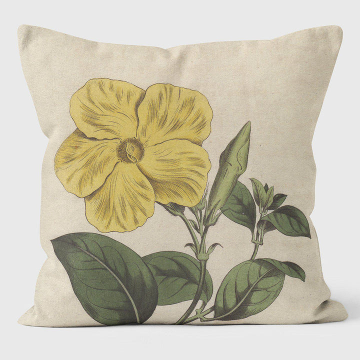 Savanna - Botanical Cushion - Handmade Cushions UK - WeLoveCushions