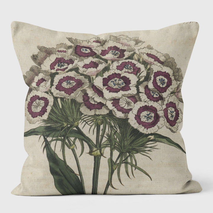 Sweet William - Botanical Cushion - Handmade Cushions UK - WeLoveCushions