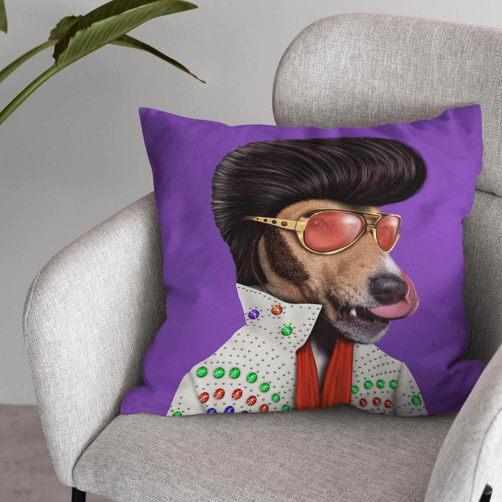 Vegas - Pets Rock Cushion