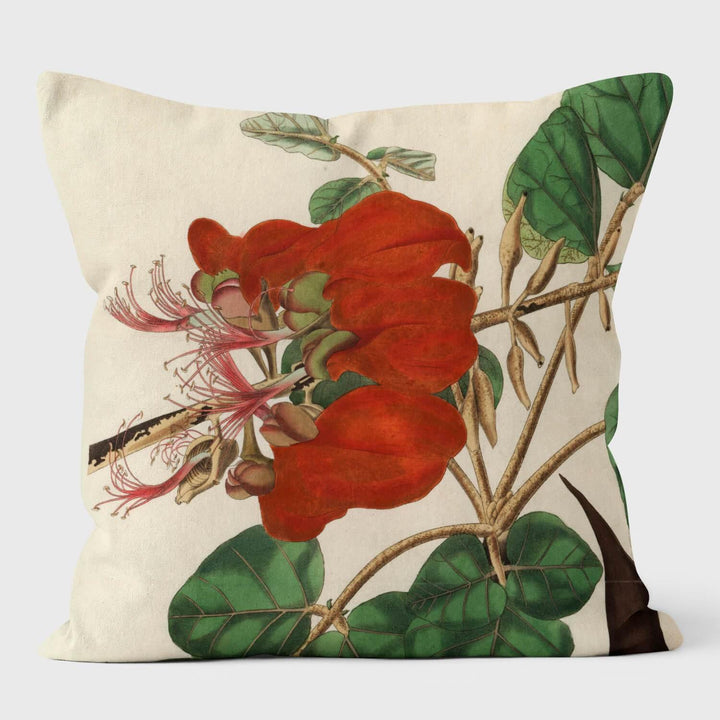 Velvety Erythrina - Botanical Cushion - Handmade Cushions UK - WeLoveCushions