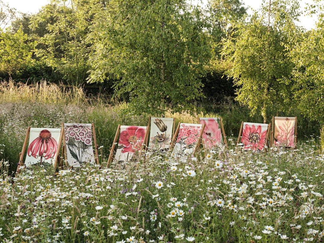 Pyramidal Watsonia (Dwarf Gladiolus) - Botanical Designs Deckchair