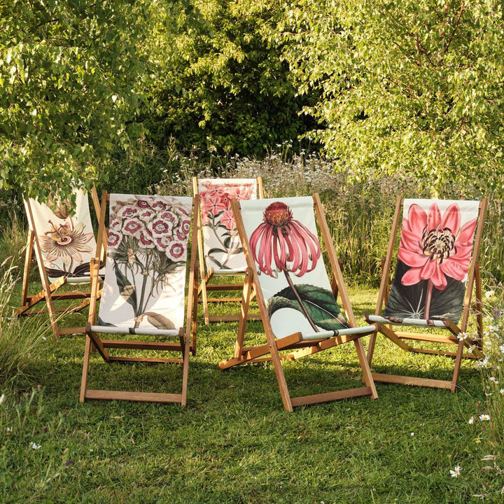 Crimson Flowered Peony - Botanical Designs Deckchair