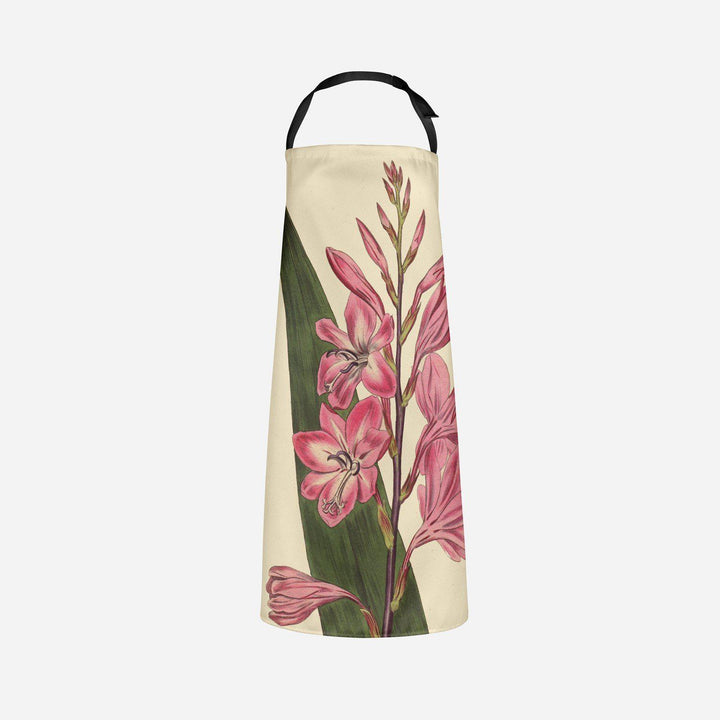 Gladiouls - Botanical Apron