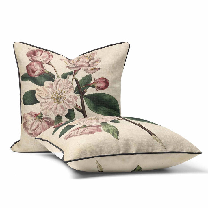 Chinese Flowering Apple Malus - Botanical Outdoor Cushion