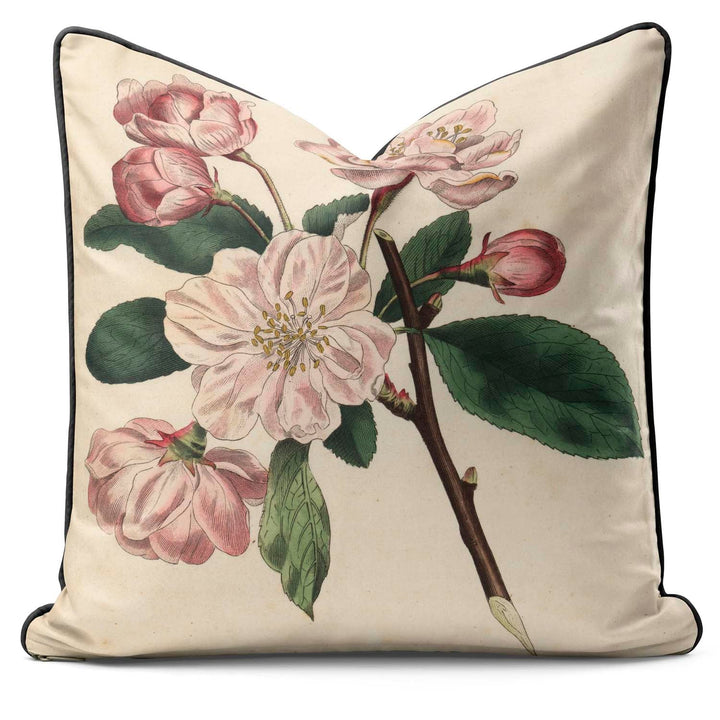 Chinese Flowering Apple Malus - Botanical Outdoor Cushion