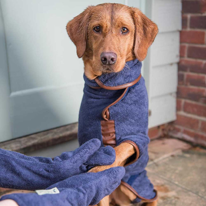 Ruff and Tumble Dog Drying Mitts – Fast-Drying Paw and Leg Mitts in Five Colours