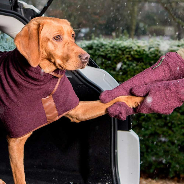 Ruff and Tumble Dog Drying Mitts – Fast-Drying Paw and Leg Mitts in Five Colours