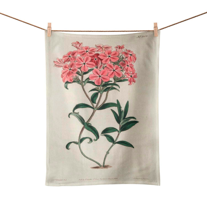 Fraser's Hairy Phlox - Botanical Tea Towel