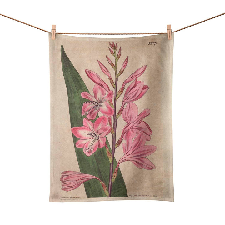 Gladiolus - Botanical Tea Towel