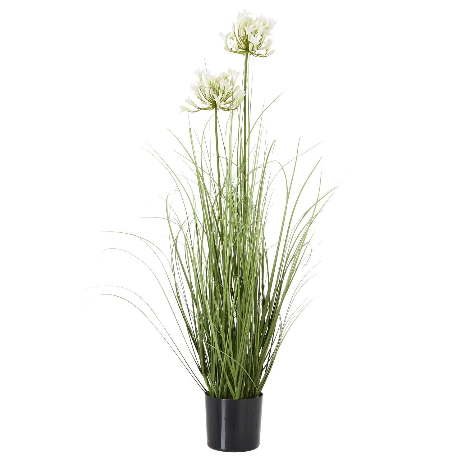 Hill Interiors White Agapanthus Plant In Pot  Premium Home Decor Accent  stylish decorative home accessory