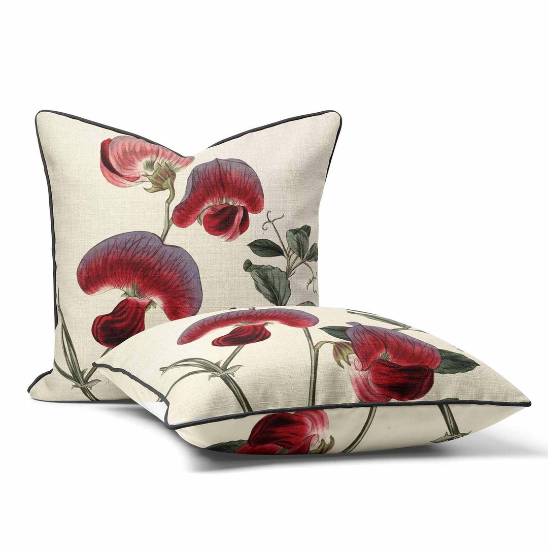 Perennial Sweetpea - Botanical Outdoor Cushion