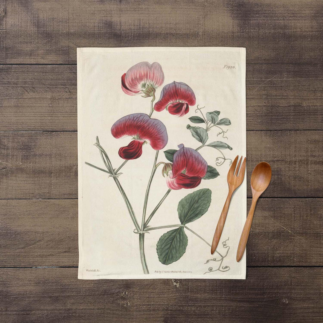 Perennial Sweetpea - Botanical Tea Towel