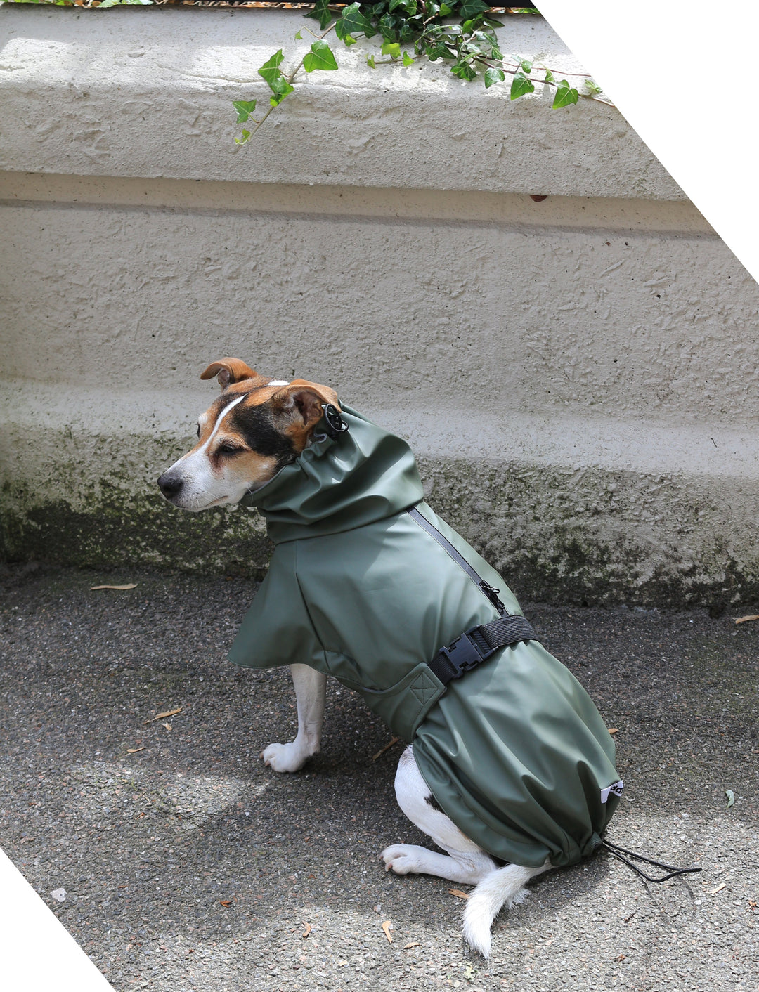 Dog Waterproof Raincoat in Olive Green