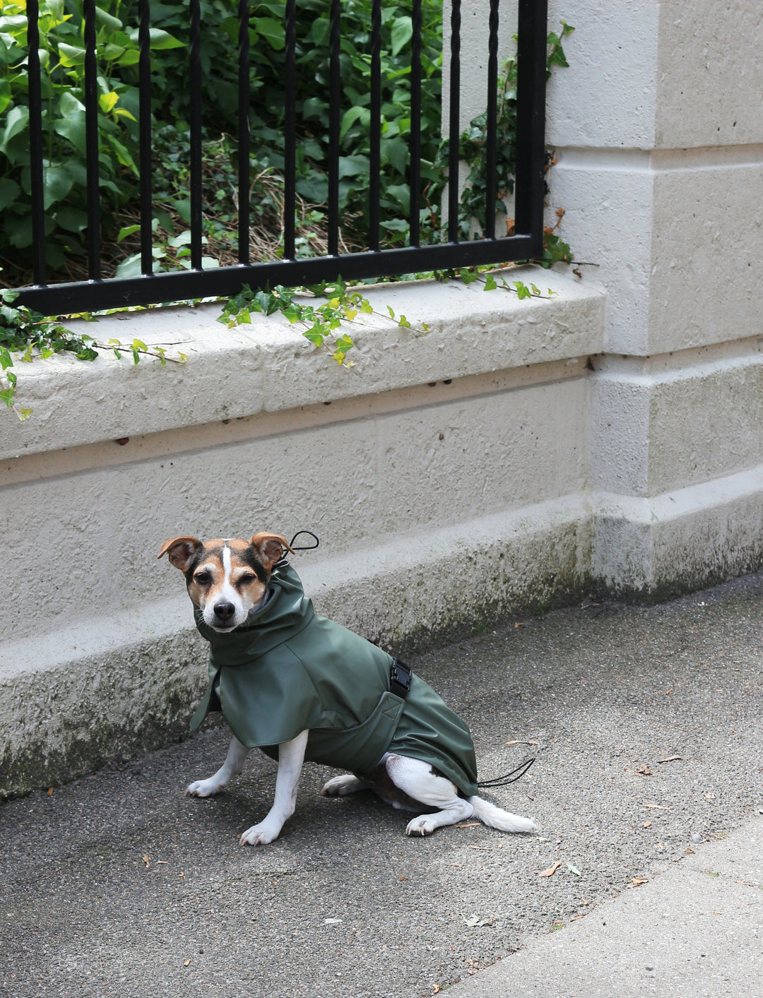 Dog Waterproof Raincoat in Olive Green